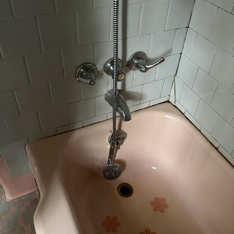 Clogged bathtub drain with handheld showerhead and faucet Clogged bathtub drain with handheld showerhead and faucet