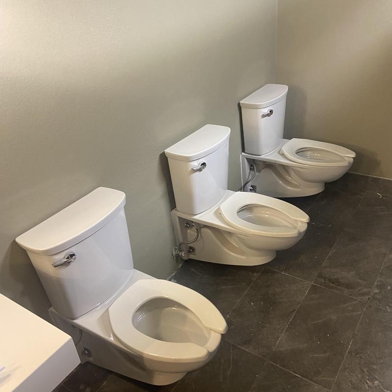 Wall-mounted toilets installed with proper flow testing Wall-mounted toilets installed with proper flow testing
