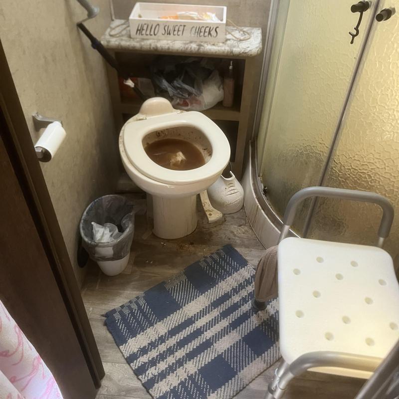 RV toilet with brown stagnant water in bowl