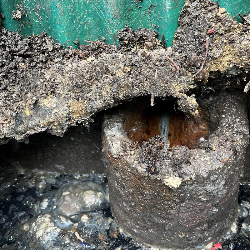 Septic drain field pipe clogged with sludge buildup