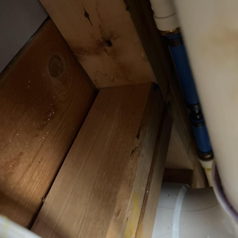 CPVC waterline with plumbing fittings in ceiling cavity CPVC waterline with plumbing fittings in ceiling cavity