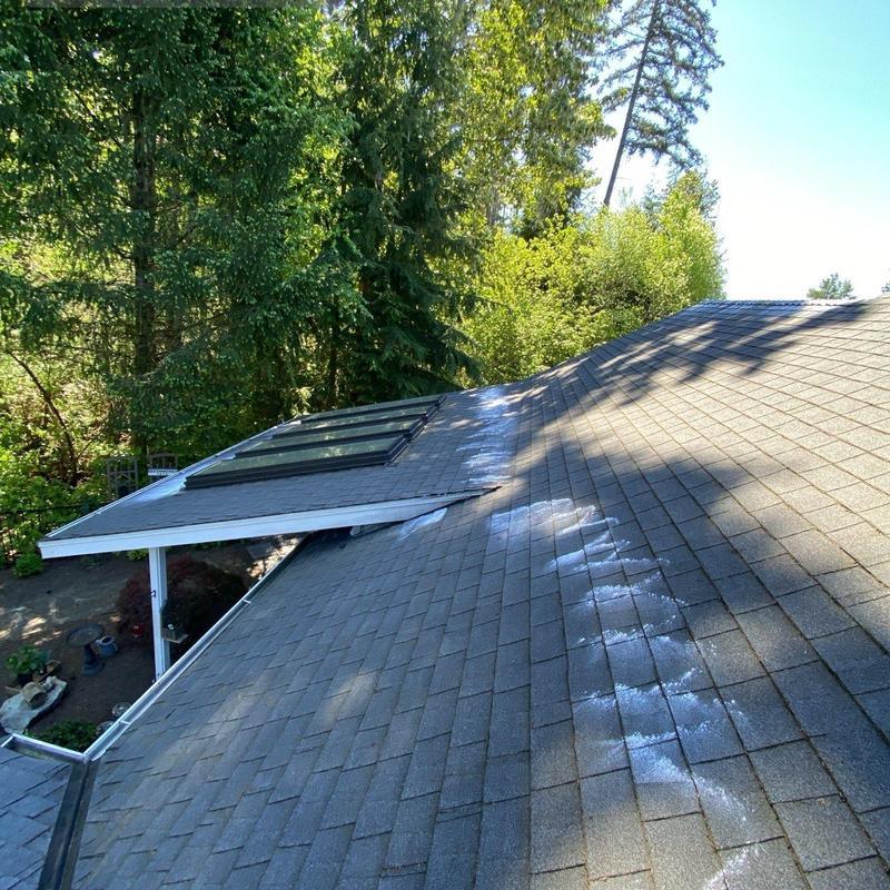 Roof shingles with moss treatment and cleaning residue
