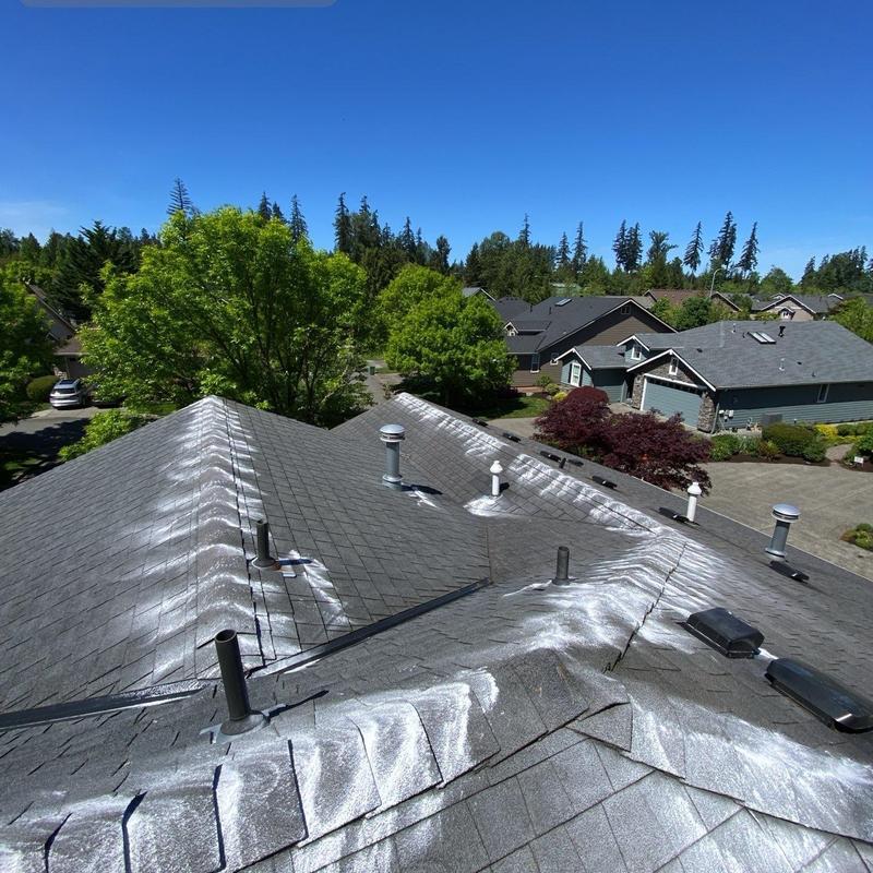 Asphalt shingle roof with moss treatment and cleaning