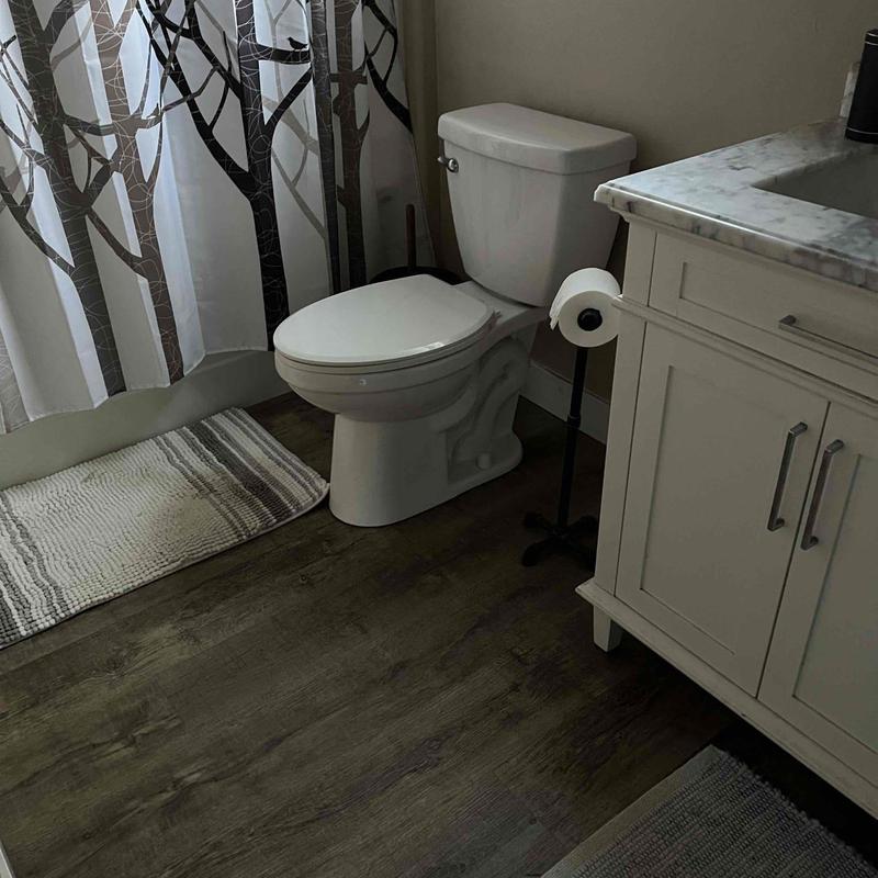 Toilet installation in residential bathroom near vanity