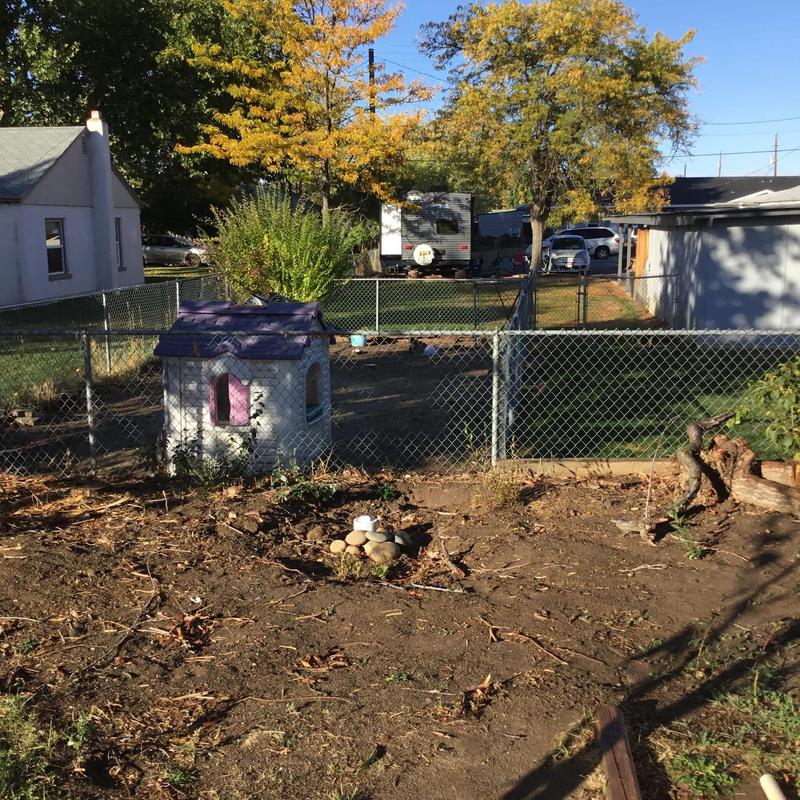 Sewer line area cleared of roots for replacement