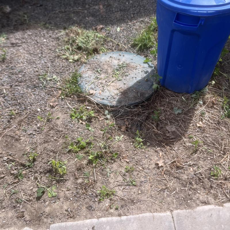 Septic tank lid exposed for system pumping in yard
