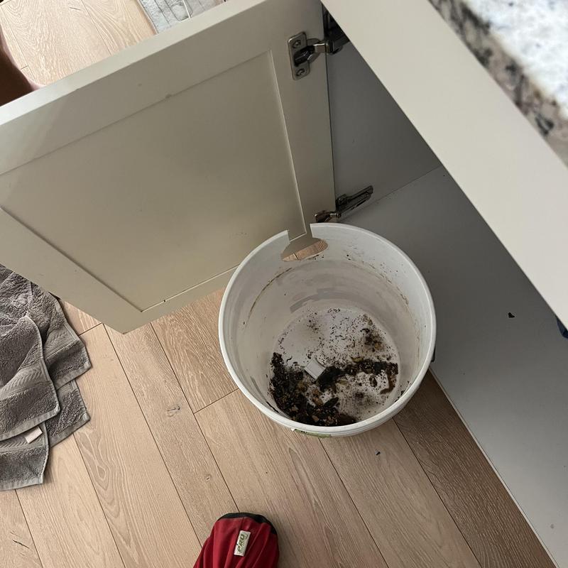 Kitchen sink drain debris collected in bucket under cabinet