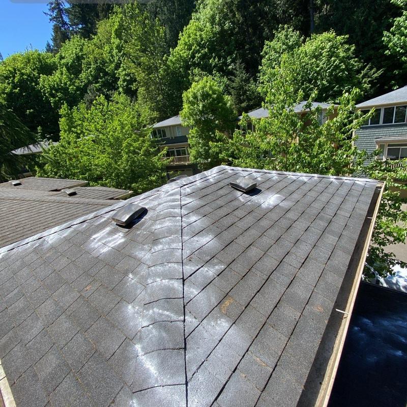 Asphalt shingle roof with moss treatment and vent caps