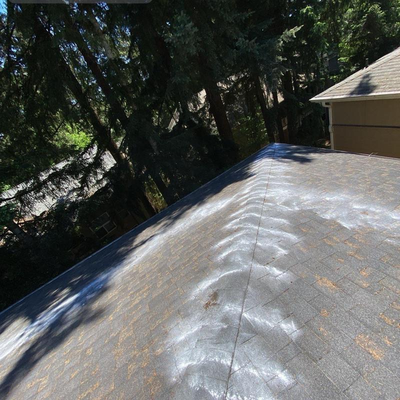 Roof shingles with moss treatment and cleaning residue