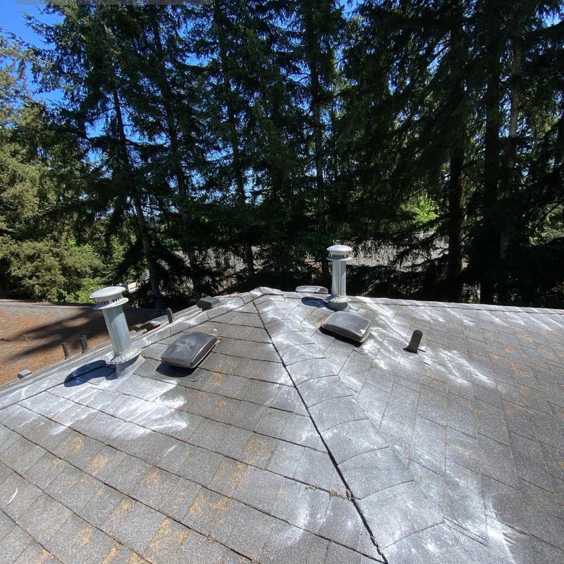Roof shingles moss treatment and cleaning in Redmond, WA