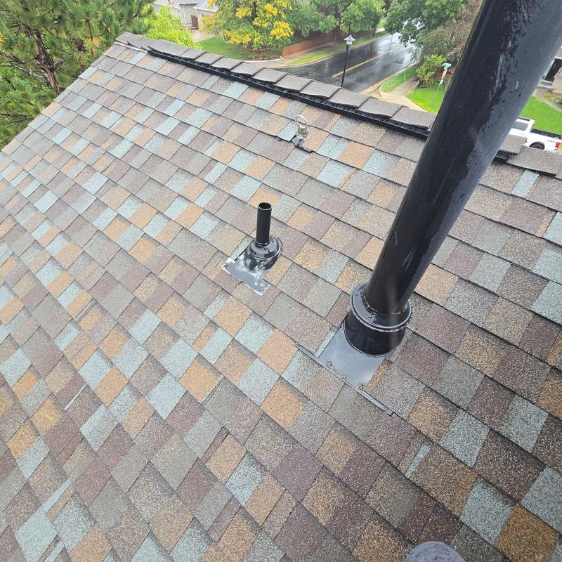 Shingle roof with pipe jack leak and flashing replacement Shingle roof with pipe jack leak and flashing replacement