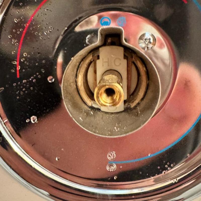Moen Posi-Temp shower cartridge and valve corrosion