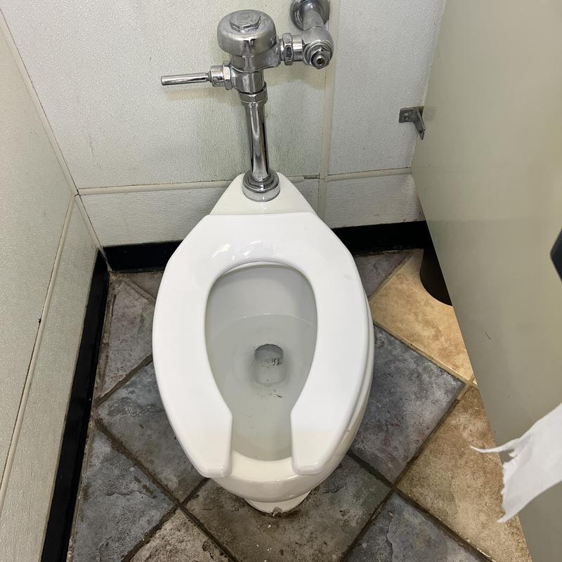 Flushometer toilet with chrome valve in office restroom