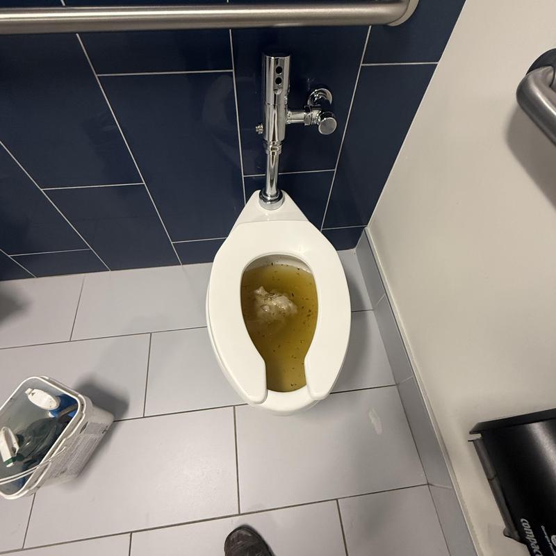 Toilet with stained water and plumbing fixtures Toilet with stained water and plumbing fixtures