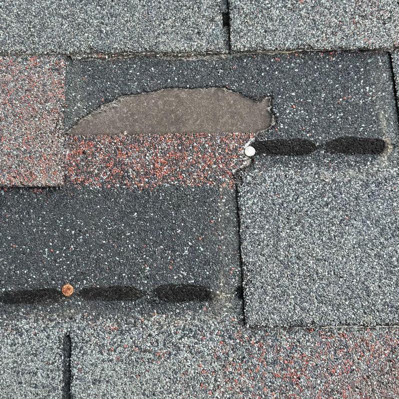 Damaged asphalt roof shingles with granule loss and nail exposure