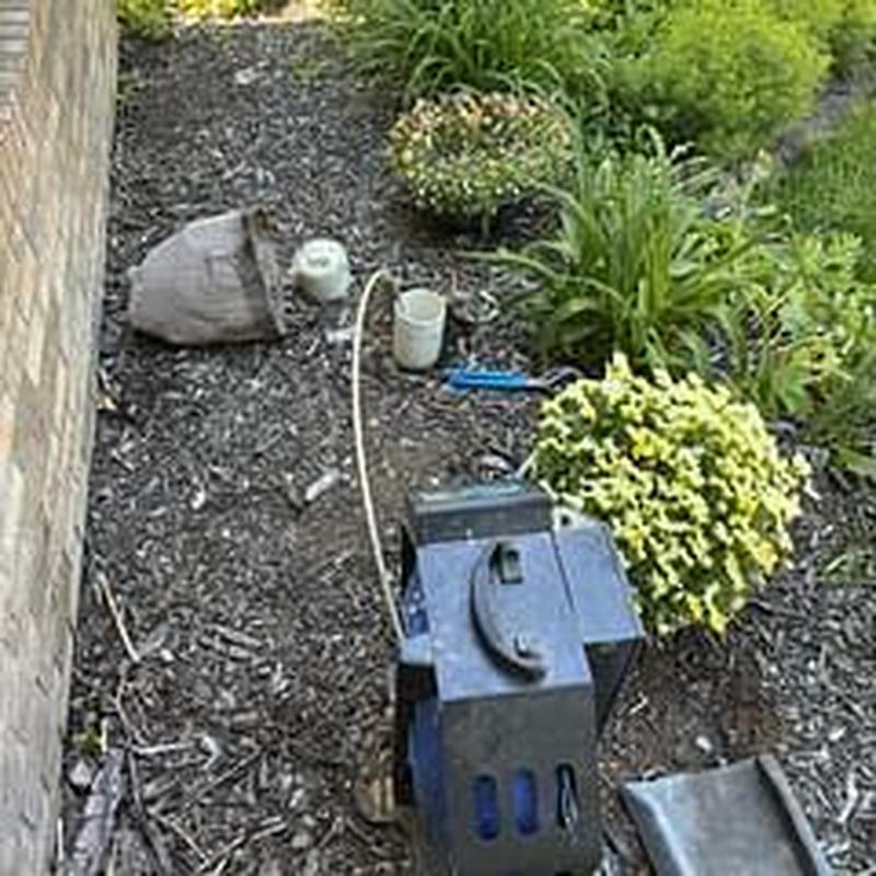 Sewer line camera inspection through cleanout in flower bed