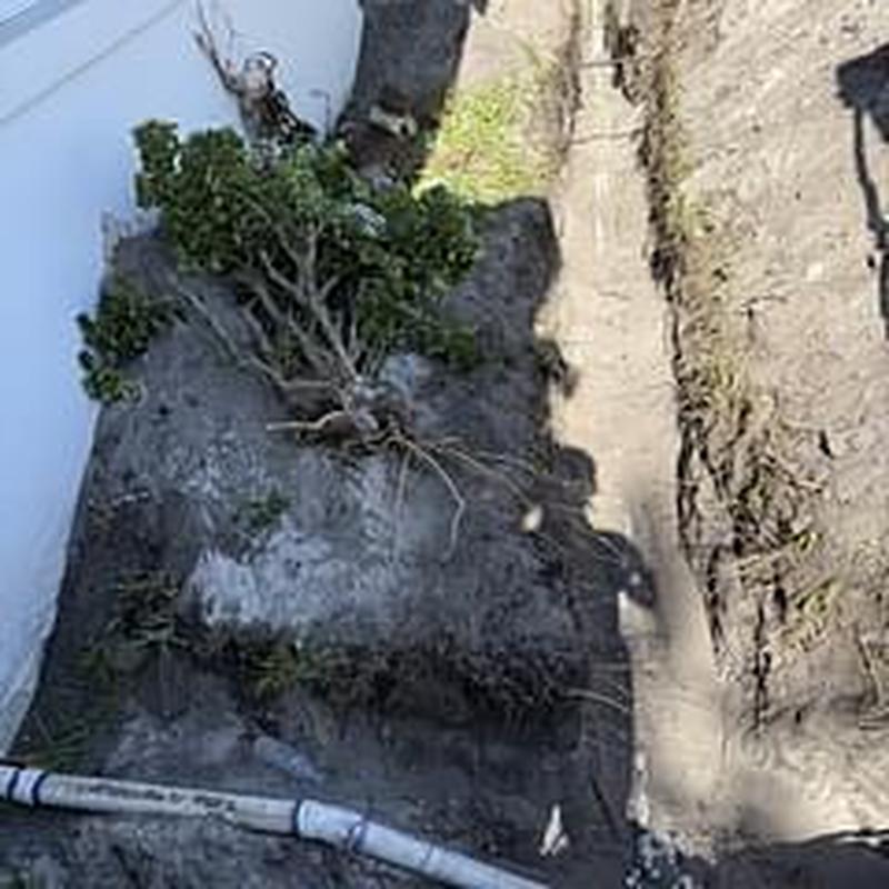 Sewer line trench excavation beside home foundation Sewer line trench excavation beside home foundation