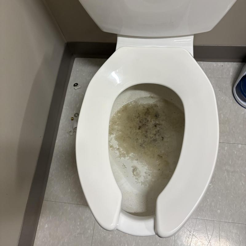 Toilet bowl with water stains and debris inside Toilet bowl with water stains and debris inside