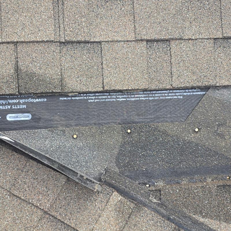 Roof shingles with hail damage and exposed underlayment