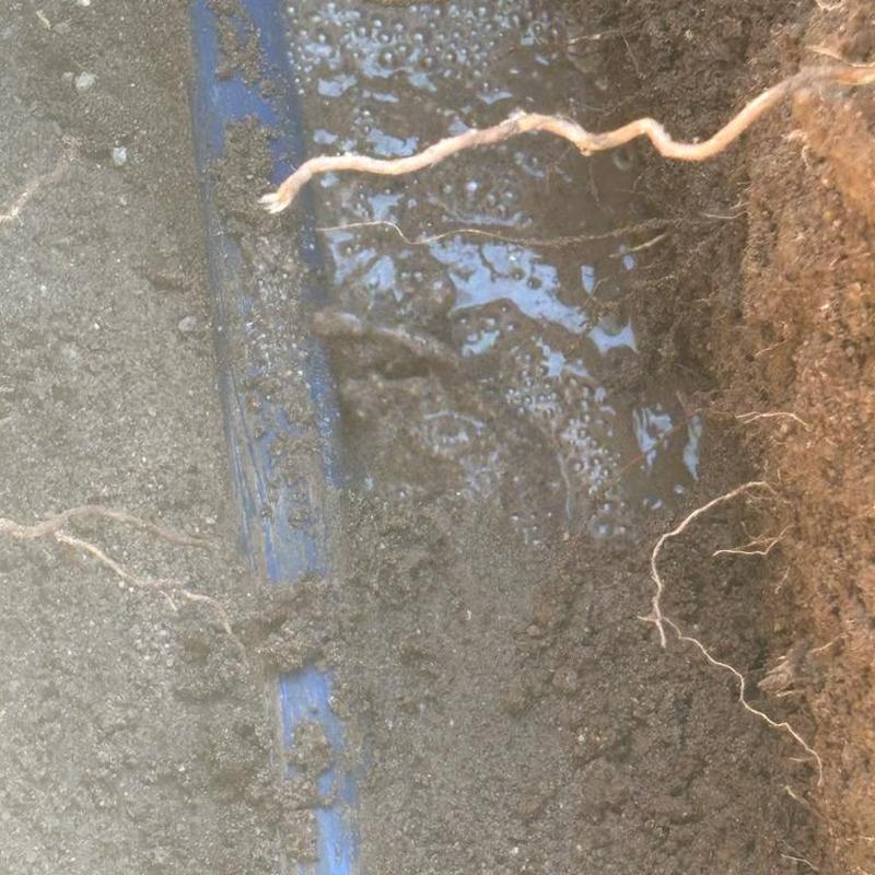 1 1/4 inch PEX water line leak under soil near wall