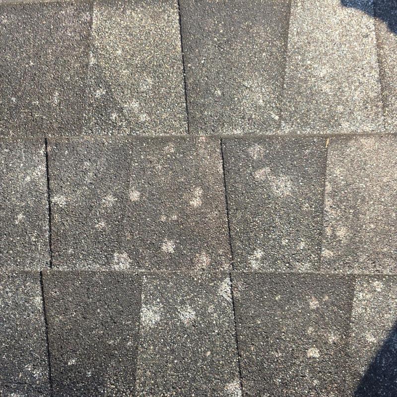 Asphalt shingle roof with visible hail damage spots Asphalt shingle roof with visible hail damage spots