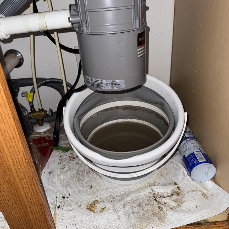 Garbage disposal with bucket catching leak under sink