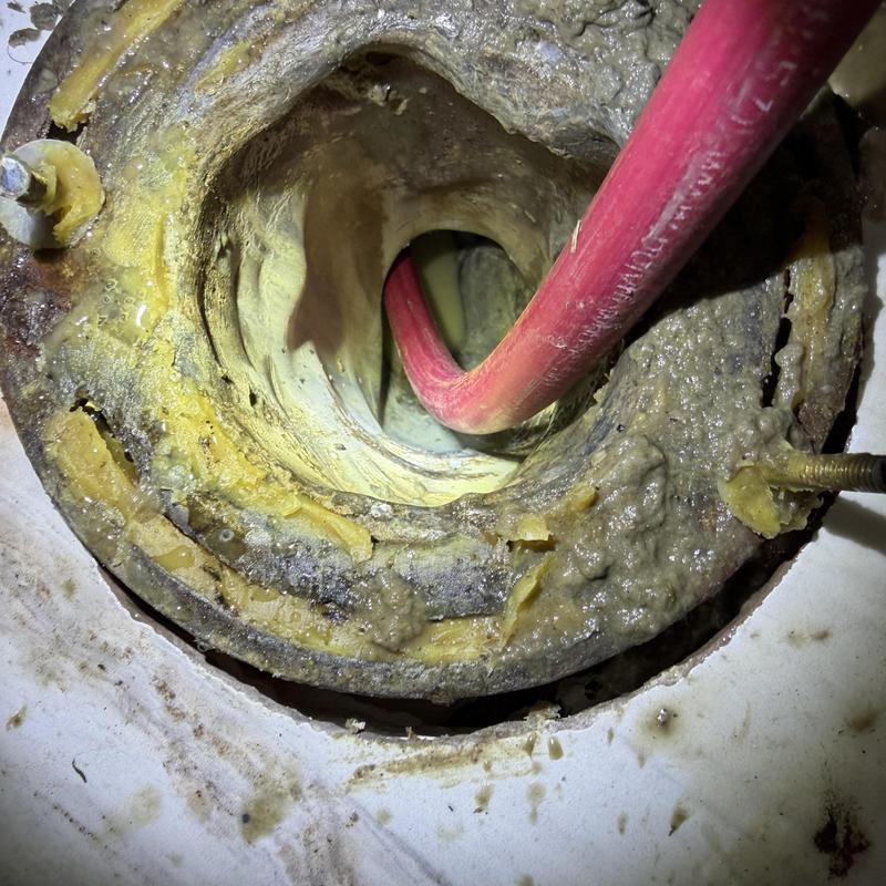 Toilet flange and drain with plumbing snake cleaning Toilet flange and drain with plumbing snake cleaning