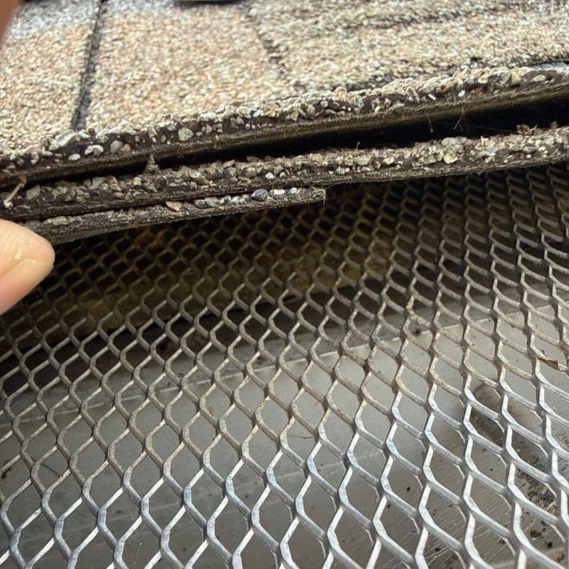Roof shingles lifted, exposing metal mesh underlayment