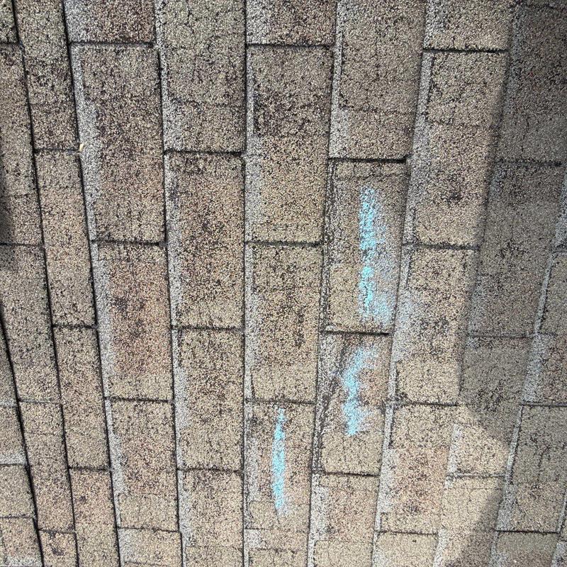 Roof shingles with hail damage marked in blue chalk
