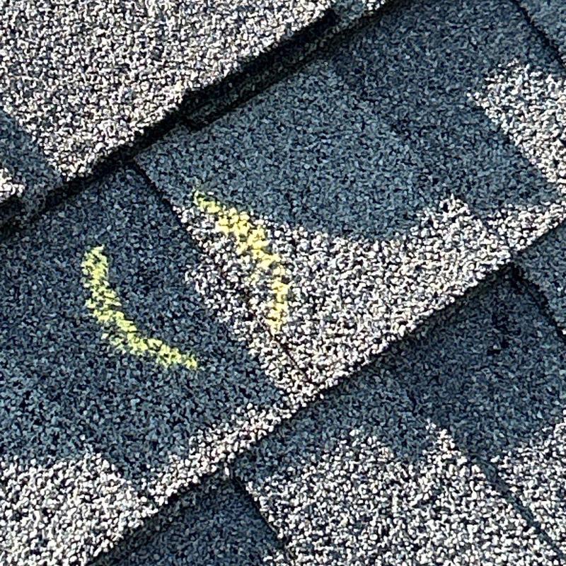Asphalt shingles with marked hail damage on roof