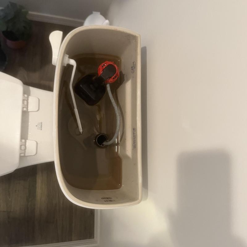 Toilet tank interior with water level check in bathroom Toilet tank interior with water level check in bathroom