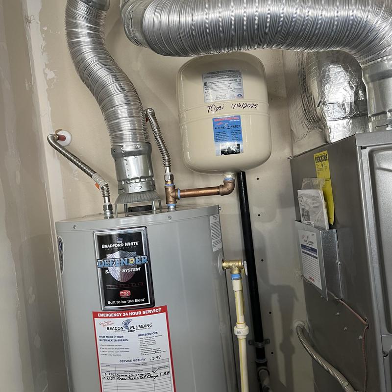 Expansion tank and water heater with brass fittings