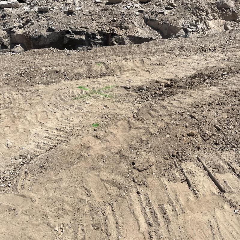 Sewer lateral excavation site with exposed soil and markings Sewer lateral excavation site with exposed soil and markings