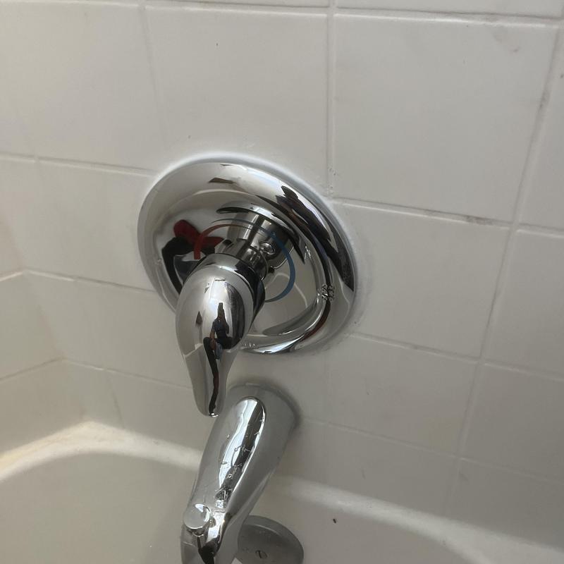 Moen Posi Temp shower valve with new trim installed