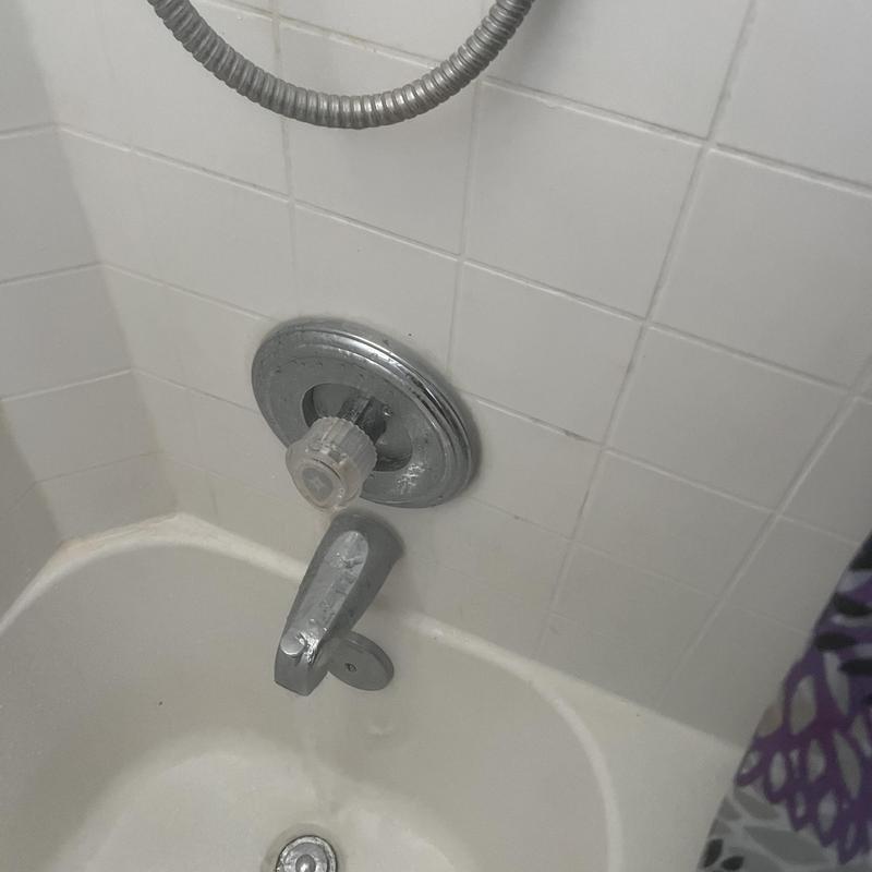 Moen Posi Temp shower valve with new trim installed