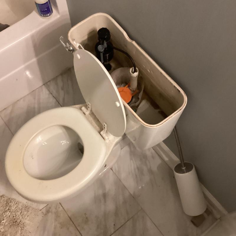 Toilet tank with internal flush components visible