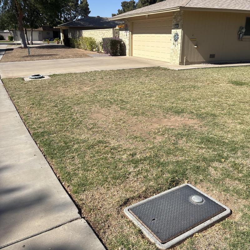 Water softener brine tank cover in front yard Water softener brine tank cover in front yard