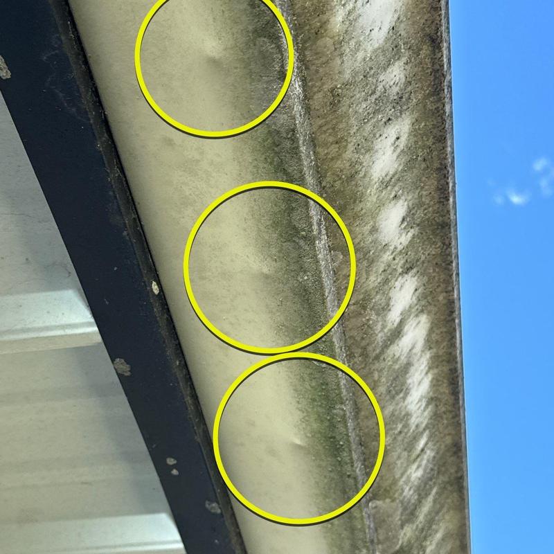 Commercial roof soffit with mold and mildew buildup