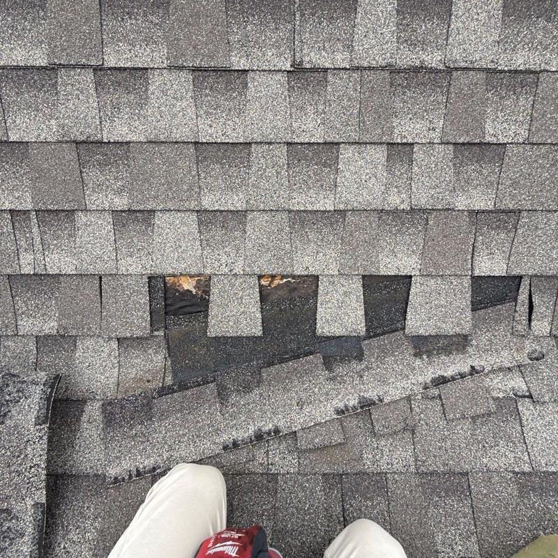 Asphalt shingles with hail damage and wear