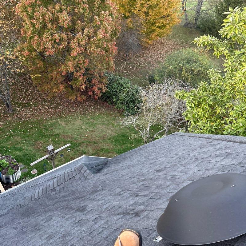 Asphalt shingle roof with ventilation cap and fall foliage