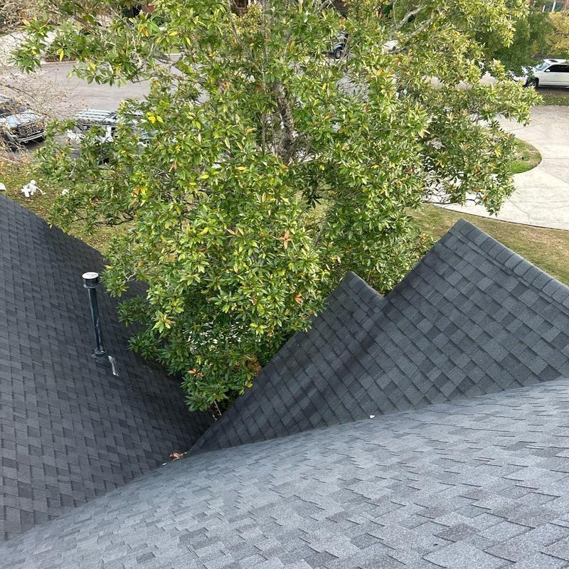 Asphalt shingle roof slopes with vent pipe and tree nearby