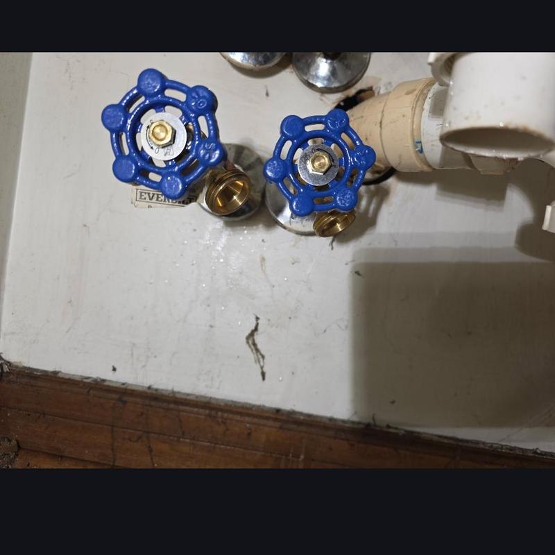 Boiler drain valves for washing machine hot and cold
