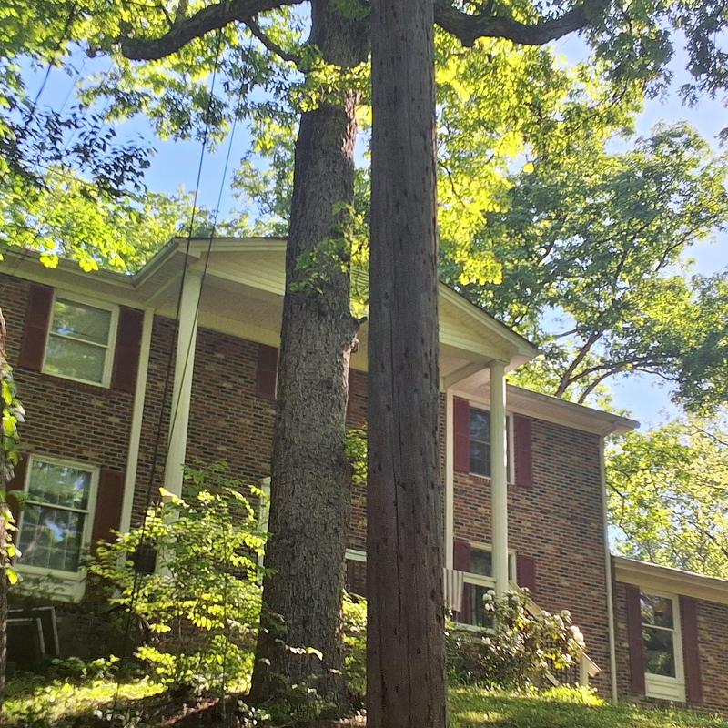 3-tab shingle roof inspection on brick home 3-tab shingle roof inspection on brick home