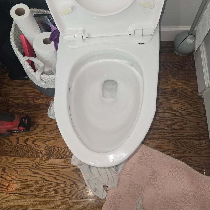 Toilet bowl cleared of blockage with auger in West Bloomfield