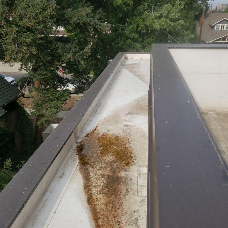 TPO flat roof with rust and debris buildup TPO flat roof with rust and debris buildup