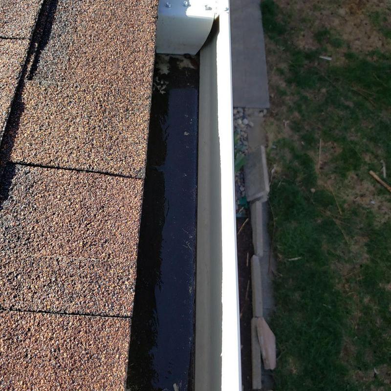 Gutter with standing water and debris buildup Gutter with standing water and debris buildup