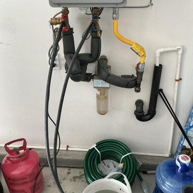 Tankless water heater with descaling hoses and filter