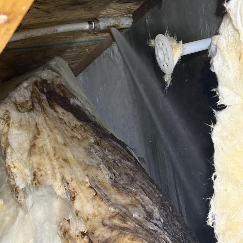 Active leak from sprinkler head in crawlspace