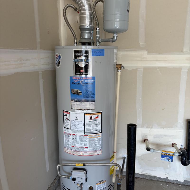 Water heater with vent and expansion tank flush Water heater with vent and expansion tank flush