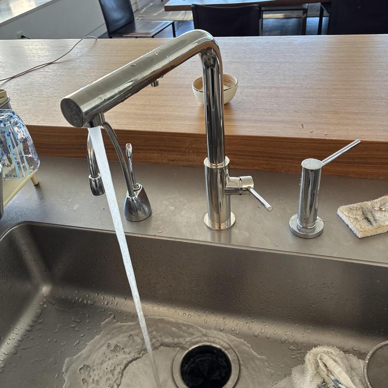 Kitchen faucet and dispenser with running water Kitchen faucet and dispenser with running water